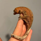 Red Base Patternless Ink Blot Dalmatian Female Sub Adult Crested Gecko