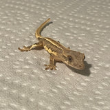 Super Brindle Lilly White Het Empty Back 50% Het Axanthic Juvenile Crested Gecko